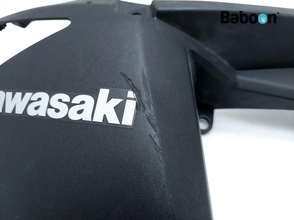 Kawasaki Z 1000 2010-2013 (Z1000 ZR1000D-E) Seitenverkleidung Links (49125-0048)