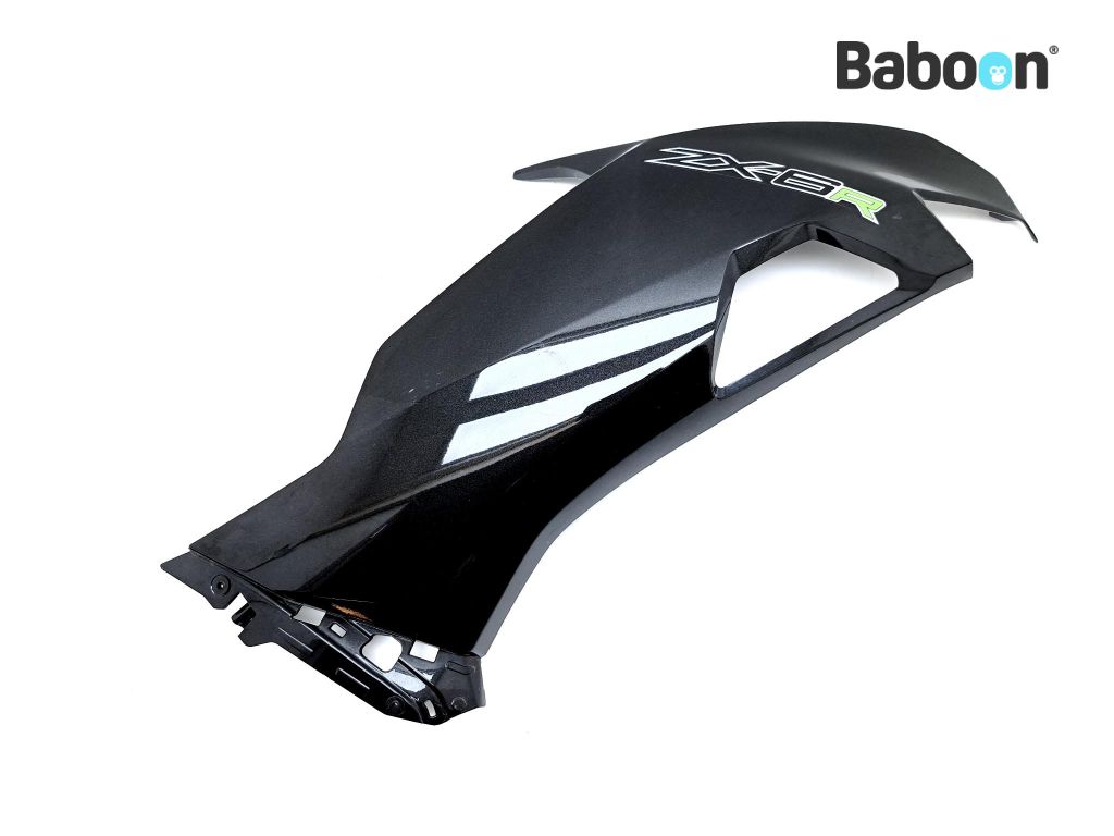 Kawasaki ZX 6 R 2019-2020 (NINJA ZX-6R ZX636G-H) Seitenverkleidung