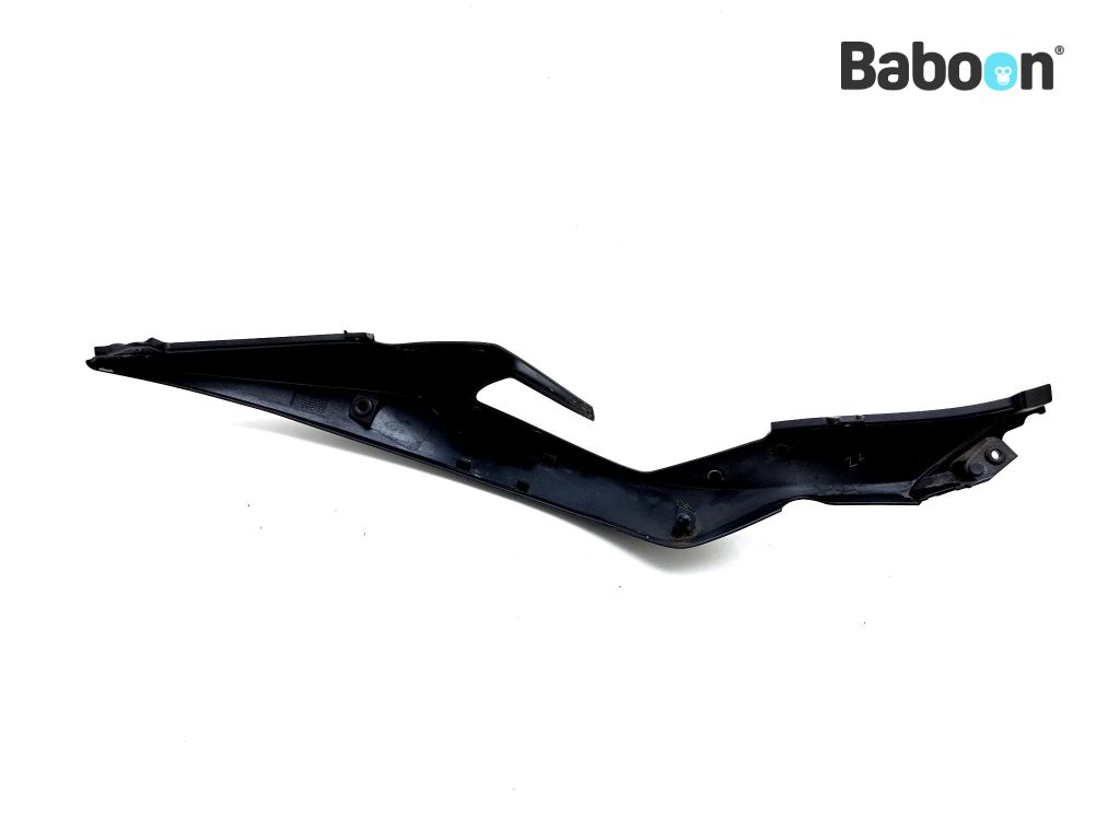 翼出品 Kawasaki ZX 6 R 2019-2020 (NINJA ZX-6R ZX636G-H) Tail