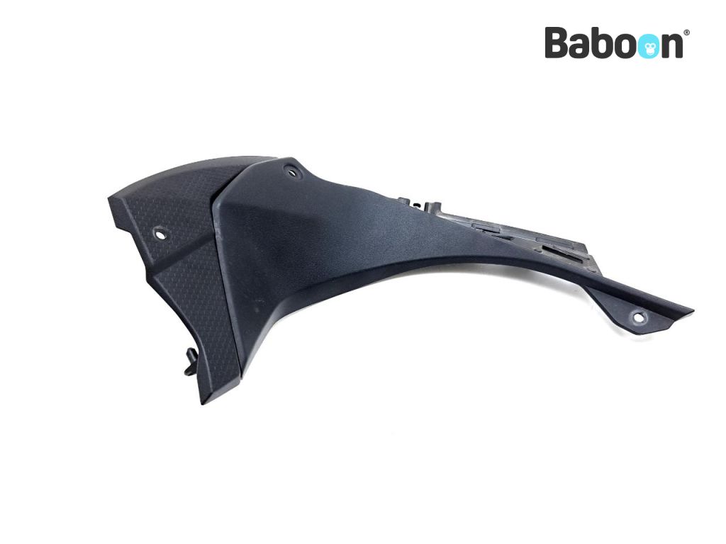 Kawasaki ZX 6 R 2019-2020 (NINJA ZX-6R ZX636G-H) Fairing