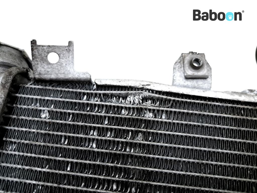 Kawasaki Ninja 400 2018-> Radiator | Baboon Motorcycle Parts