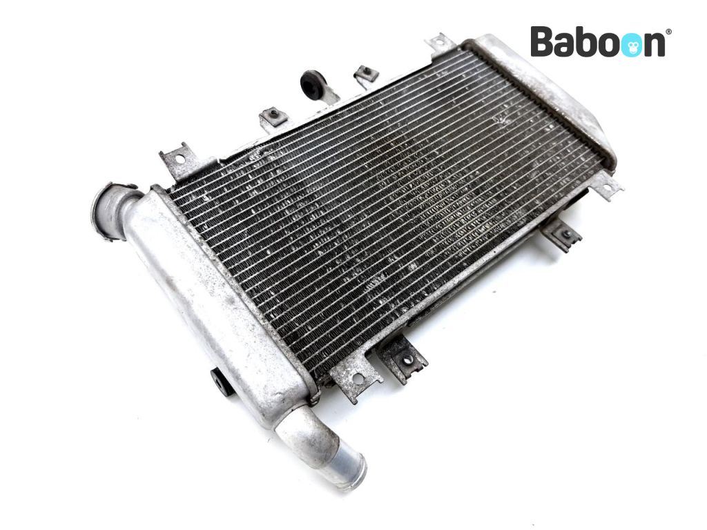 Kawasaki Ninja 400 2018-> Radiator | Baboon Motorcycle Parts