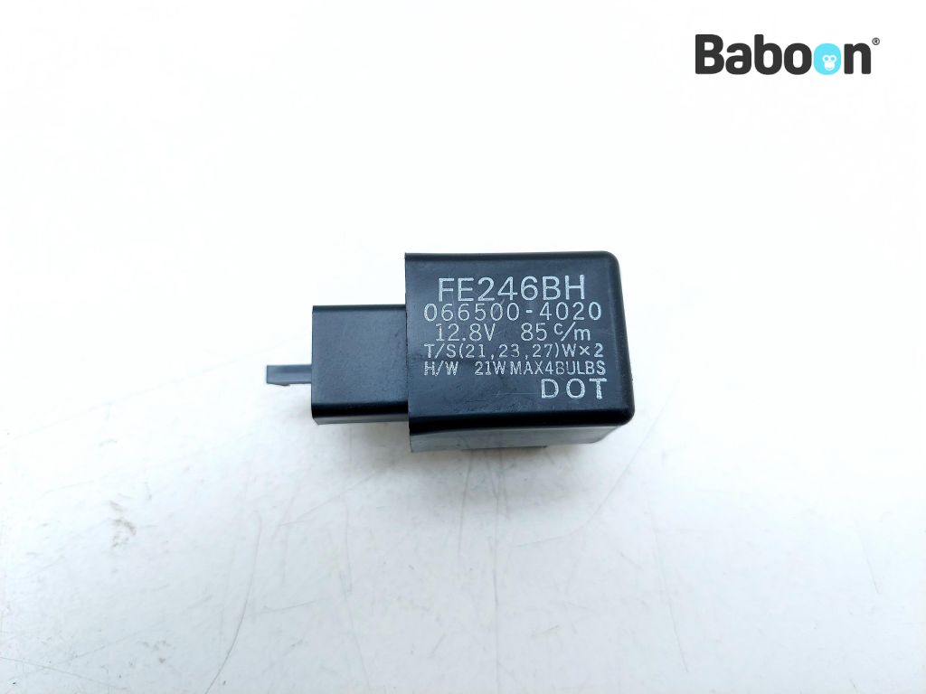Kawasaki ZX 10 R 2006-2007 (NINJA ZX-10R ZX1000D) Turn Signal