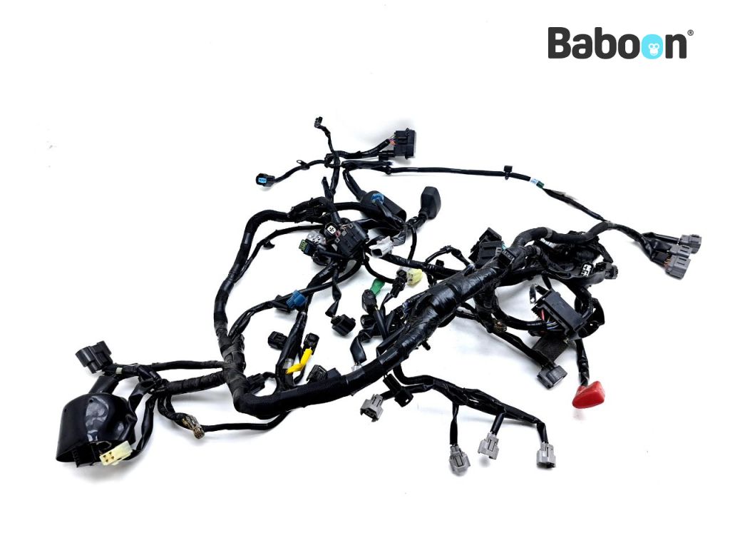 Kawasaki Versys 1000 2019 (KLZ1000C) Wiring Harness (Main) (26031