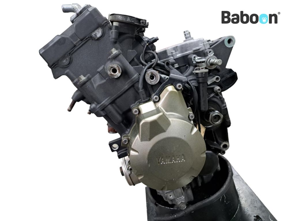 Yamaha XJ 6 2009-2012 (XJ6 Diversion) Blok silnika Engine Number J519E-......
