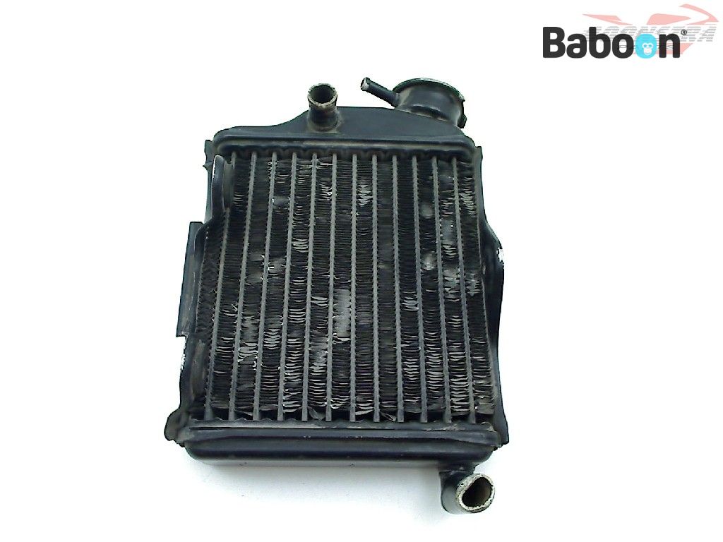 Yamaha RD 125 LC 1985-1987 RD125LC 10W) Radiator | Baboon Motorcycle Parts