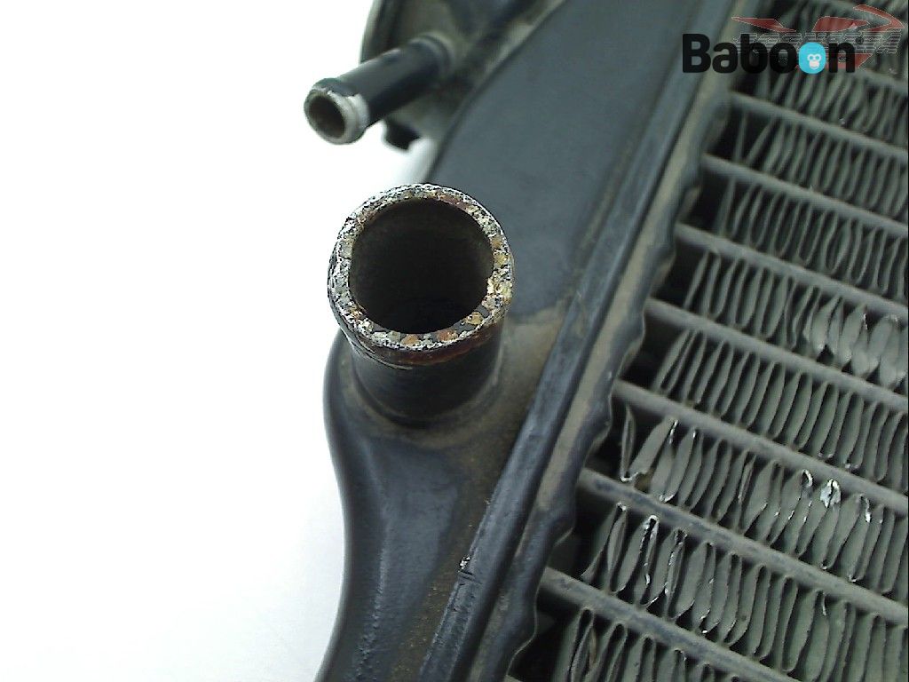 Yamaha RD 125 LC 1985-1987 RD125LC 10W) Radiator | Baboon Motorcycle Parts