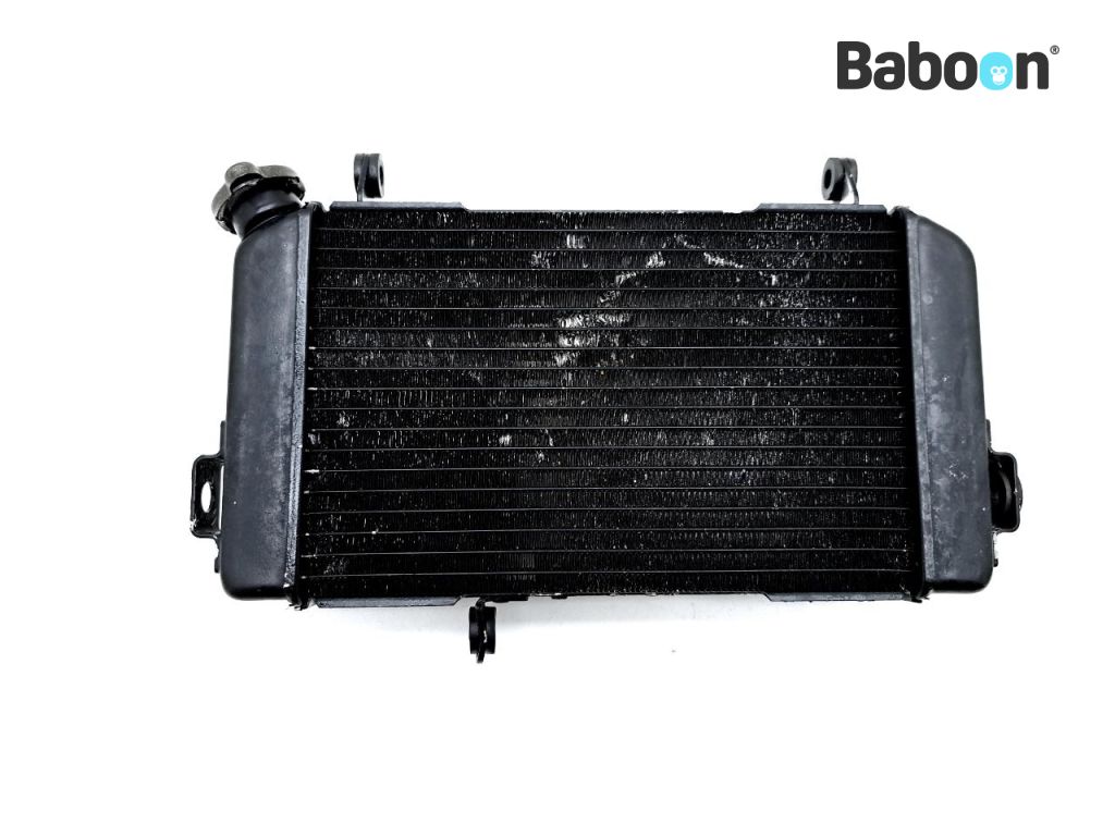 Suzuki SV 650 1999-2002 (SV650N SV650S SV650) Radiator