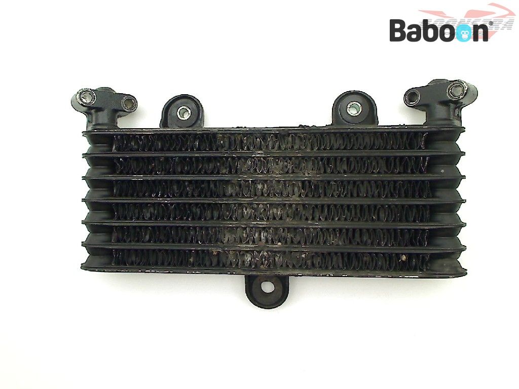 華火出品 ビッグドラゴン No250 | 噴出花火 | eはなびやさん│圧倒的な品揃え