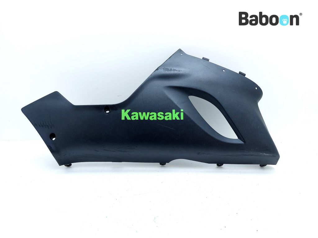 Kawasaki ZX 6 R 2005-2006 (NINJA ZX-6R ZX636C-D) Alempi profilointi oikea (55028-0031)