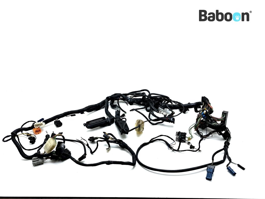 BMW R 1100 RS (R1100RS 93) Wiring Harness (Main)