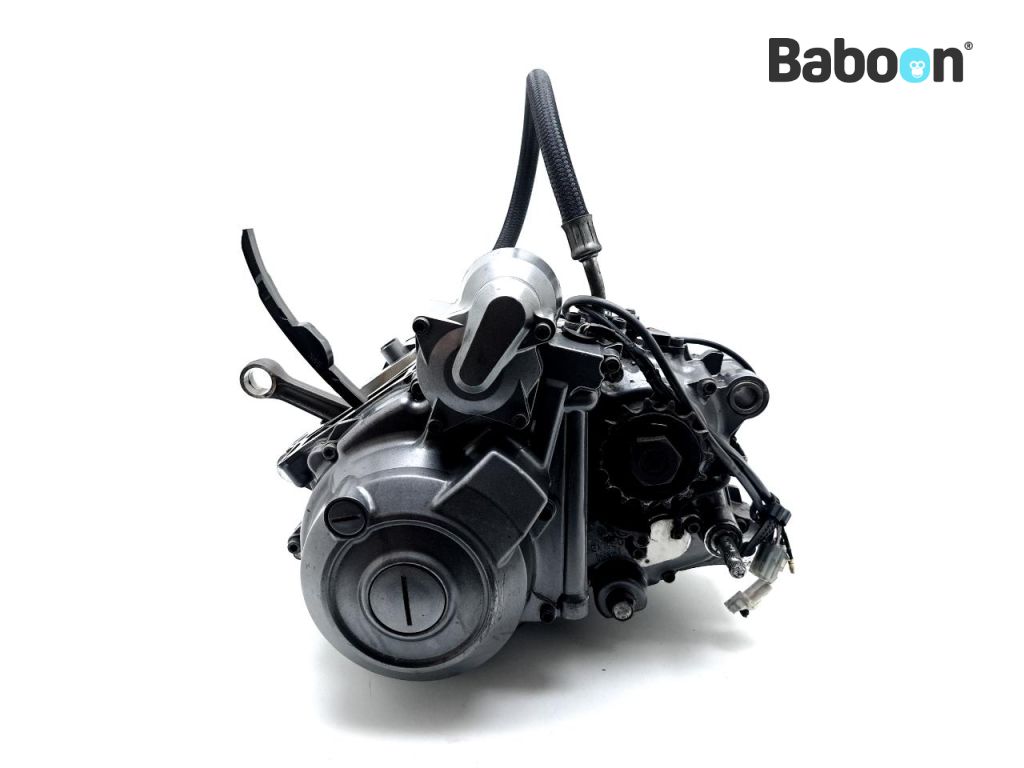 Yamaha XT 660 R 2004-2014 (XT660R) Bajo bloque Engine number: M306E-......