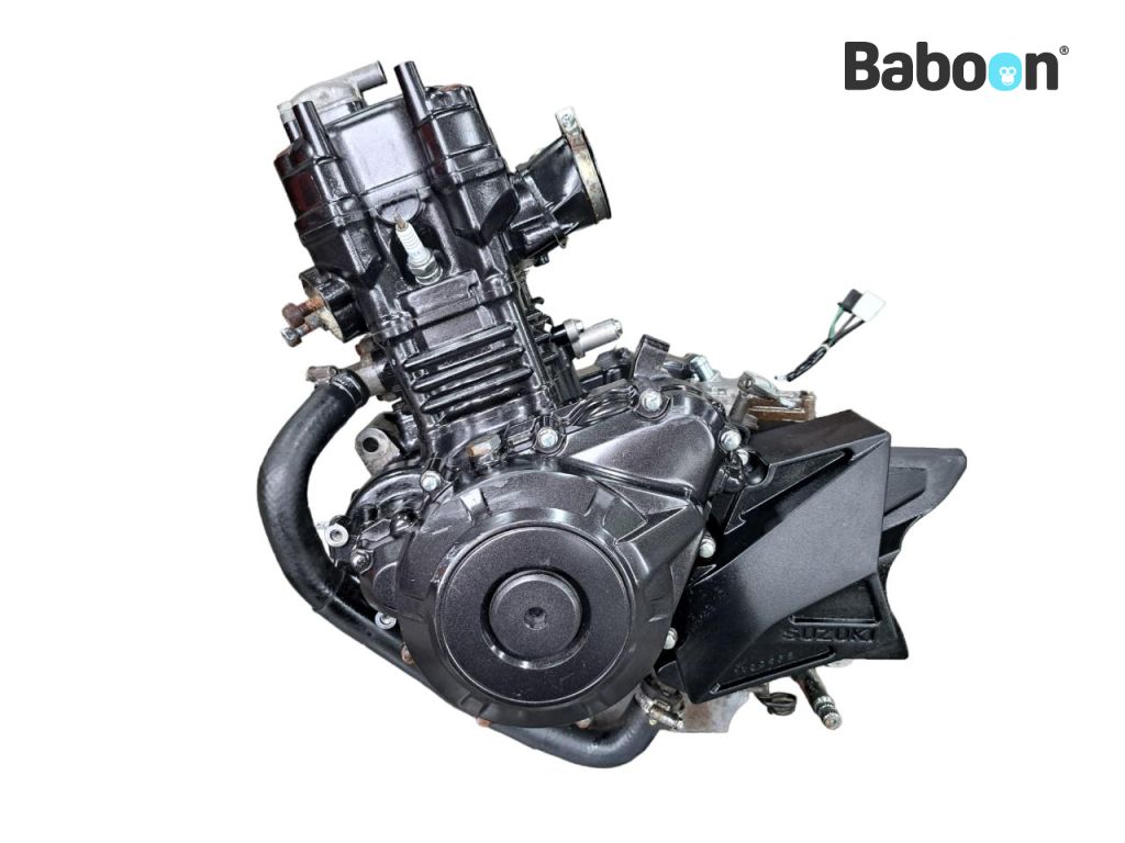 Suzuki DL 250 V-Strom 2017-2020 (DL250A) Blocco motore