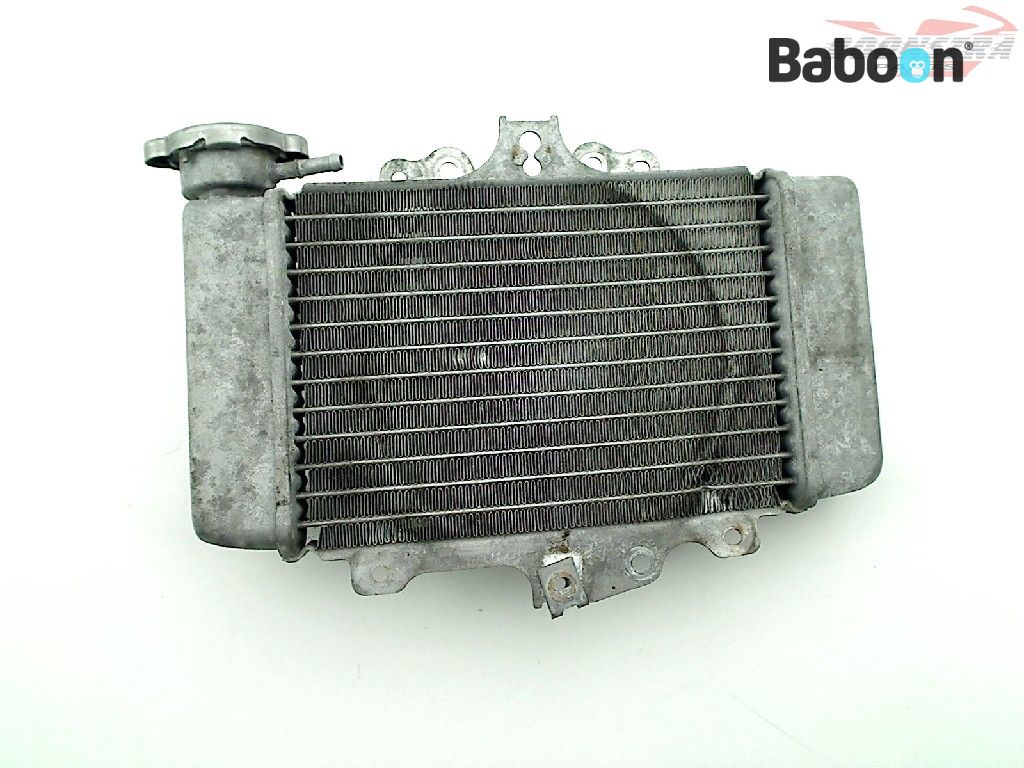 Honda PS 125 2010 Injection Sporty Special (PES125) Radiator
