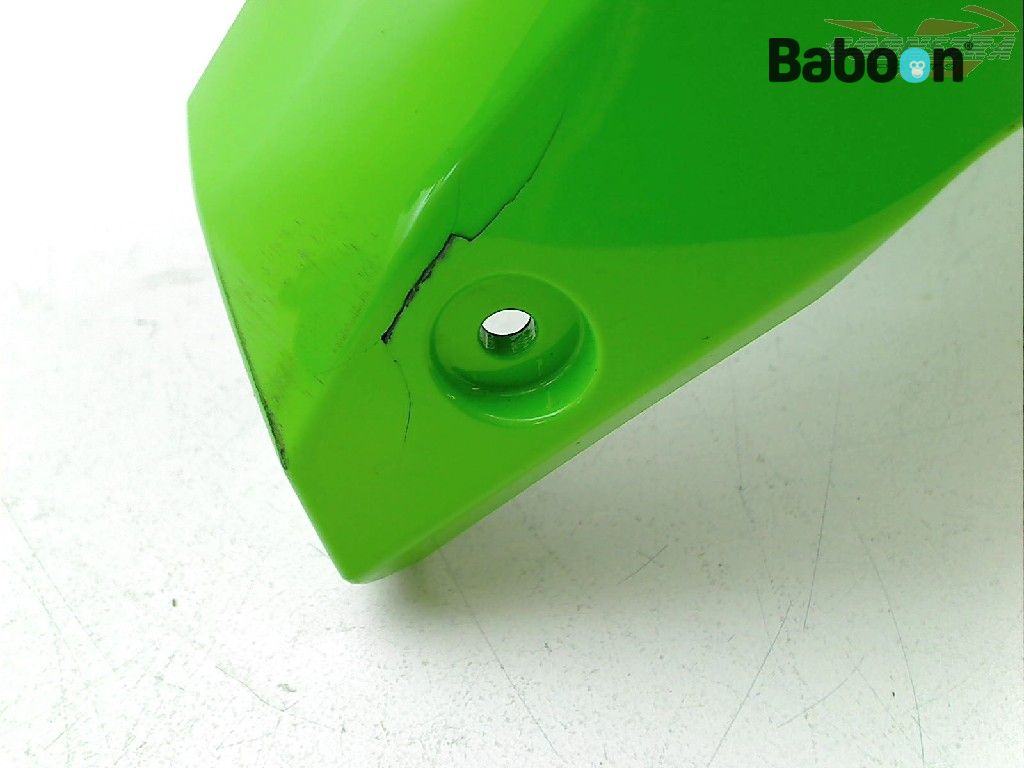 Kawasaki ZX 10 R 2016-2018 + ABS (NINJA ZX-10R ZX1000R-S) Fender