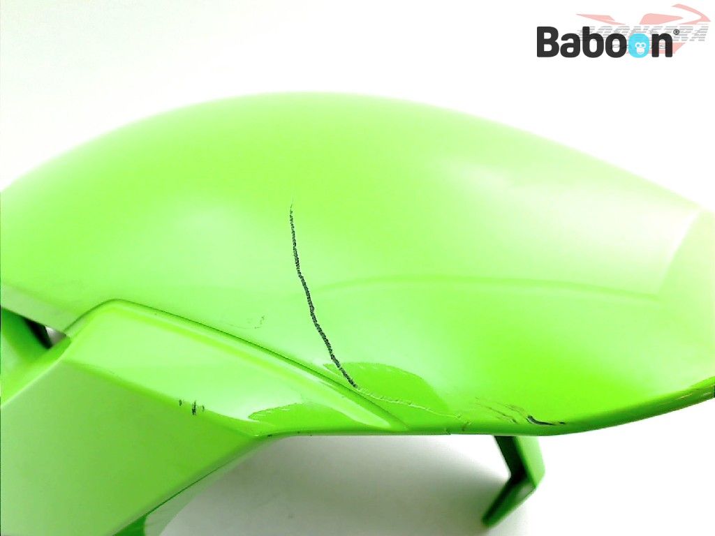 「ten」 Kawasaki ZX 10 R 2016-2018 + ABS (NINJA ZX-10R ZX1000R-S) Fender