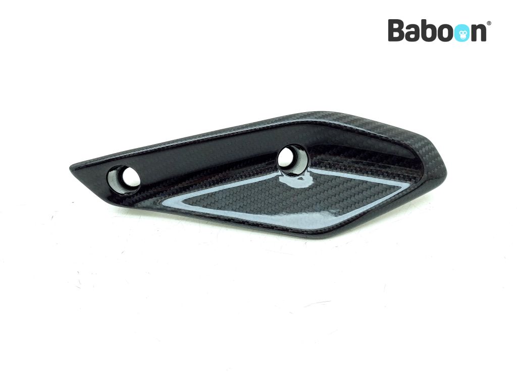 BMW R 1200 RS LC (R1200RS K54) Wind Deflector Links Ilmberger Carbon (VFL.009.R12RS.K)
