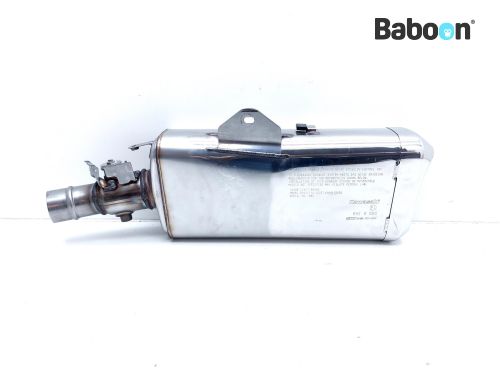 ねぎ 石倉1本太ねぎ(2dl): 種