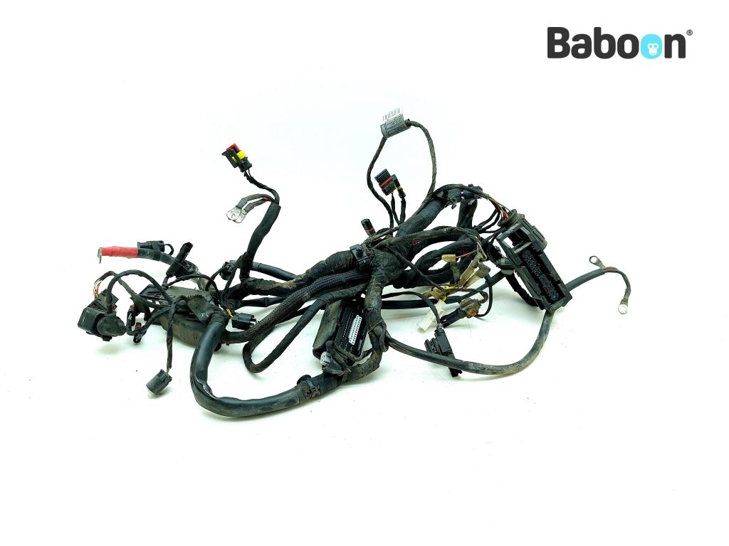 BMW F 800 R 2009-2014 (F800R) Wiring Harness (Main) (7701246)