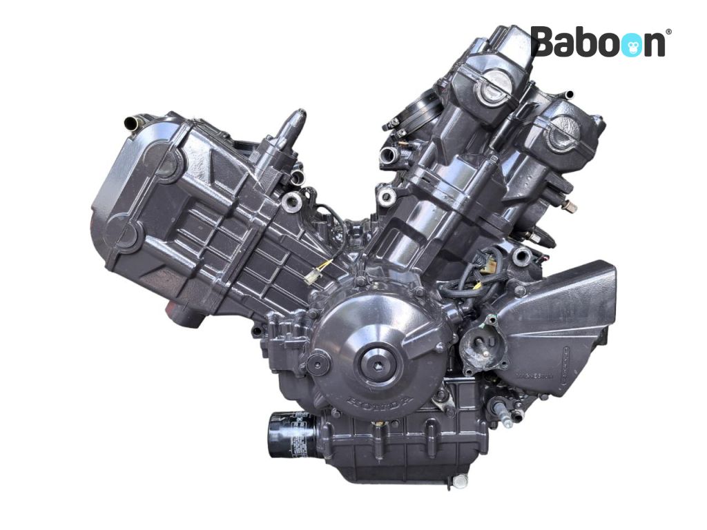 Honda VTR 1000 F Firestorm 1997-2006 (VTR1000F SC36) Blocco motore