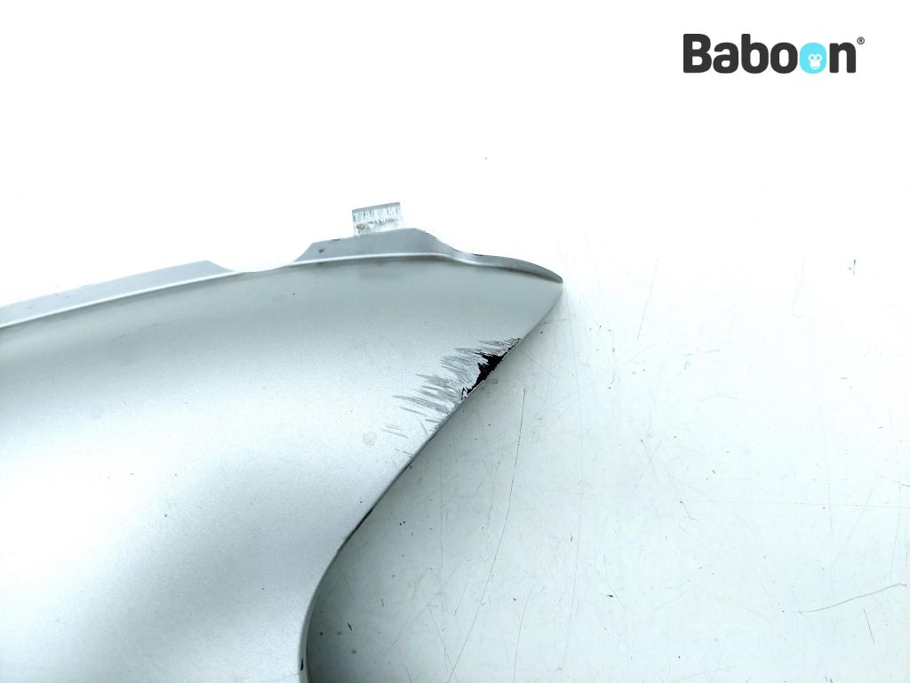 BMW C 650 GT 2016- (C650GT 16) Fairing Left Side View Assist