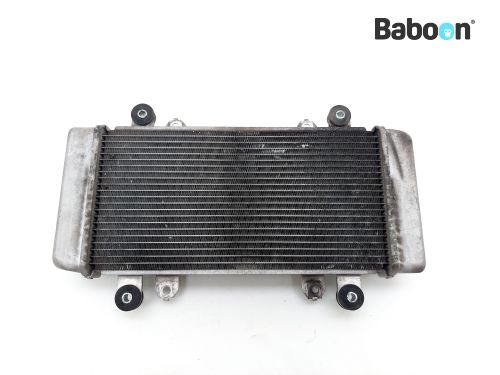 Replacement Radiator For Kawasaki Ninja 300 (EX300) 2013-2017 - Chrome Aluminum Cooling Radiator