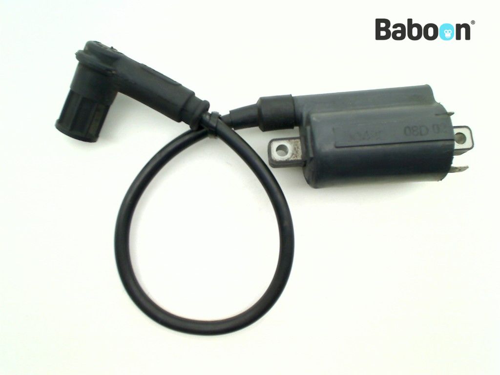 Ducati 800 SS 2003-2007 (800SS) Ignition Coil