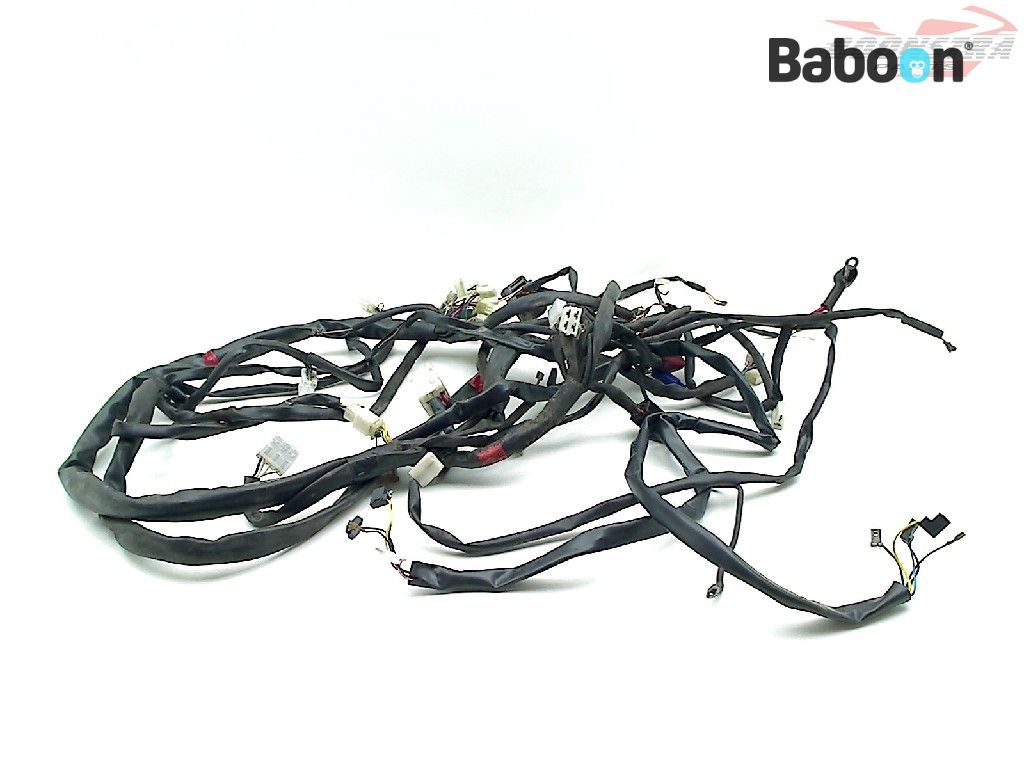 Benelli Adiva 150 2002-2006 D101 Wiring Harness (Main)