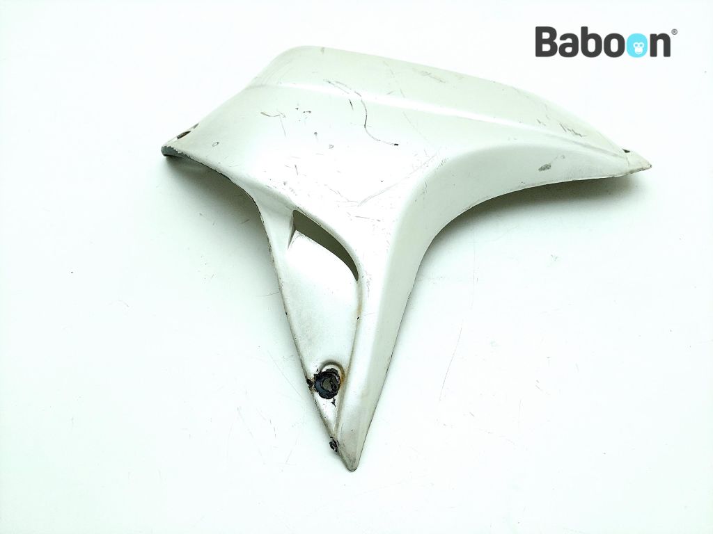 フェアリング ライト ピグテール カバー サドル リア OEM アプリリア