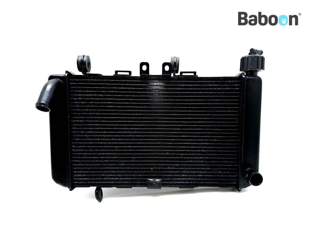 CFMOTO 450 SR S 2024-> Radiator | Baboon Motorcycle Parts