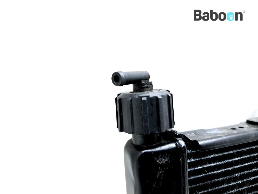 CFMOTO 450 SR S 2024-> Radiator | Baboon Motorcycle Parts