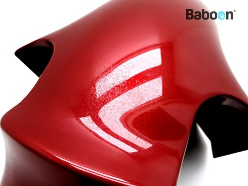 Kawasaki ZX 12 R Ninja 2000-2001 (NINJA ZX-12R ZX1200A) Fender