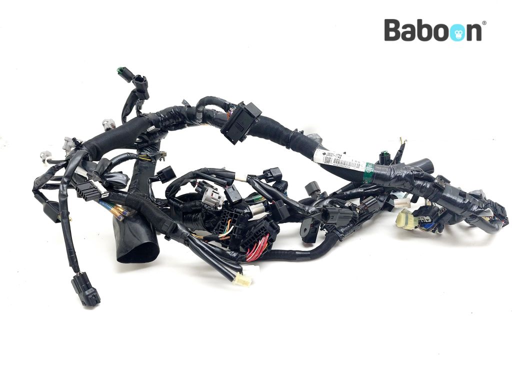 Kawasaki Z 1000 2014-2016 (Z1000 ZR1000F-G) Wiring Harness (Main