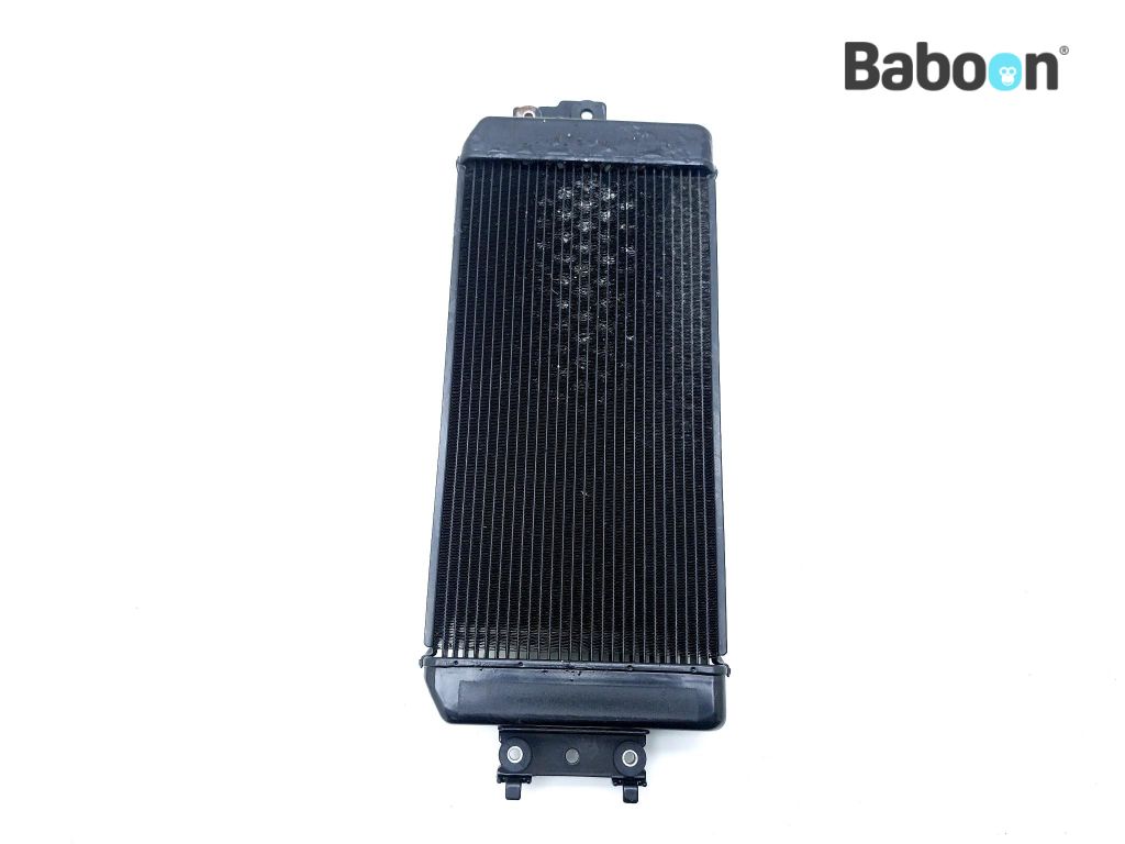 M50 Radiator Suzuki VZ 800 2005-2010 Boulevard M50 Intruder M800 Radiator | Baboon ...