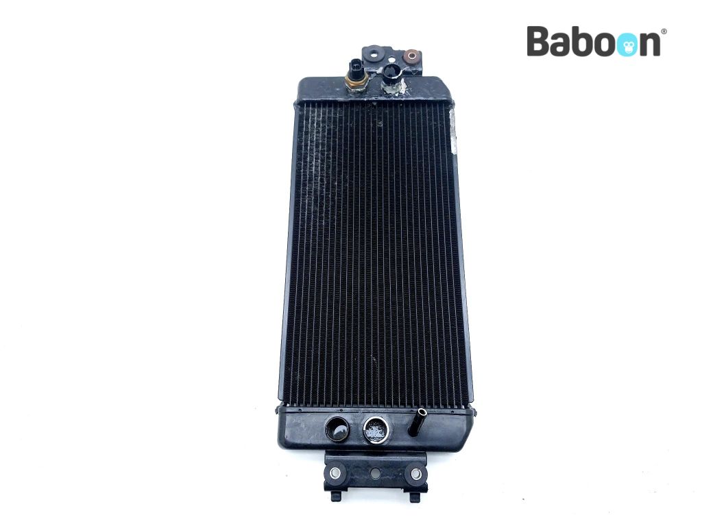 Vz Radiator Suzuki VZ 800 2005-2010 Boulevard M50 Intruder M800 Radiator | Baboon ...