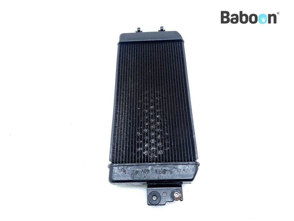 M50 Radiator Suzuki VZ 800 2005-2010 Boulevard M50 Intruder M800 Radiator | Baboon ...