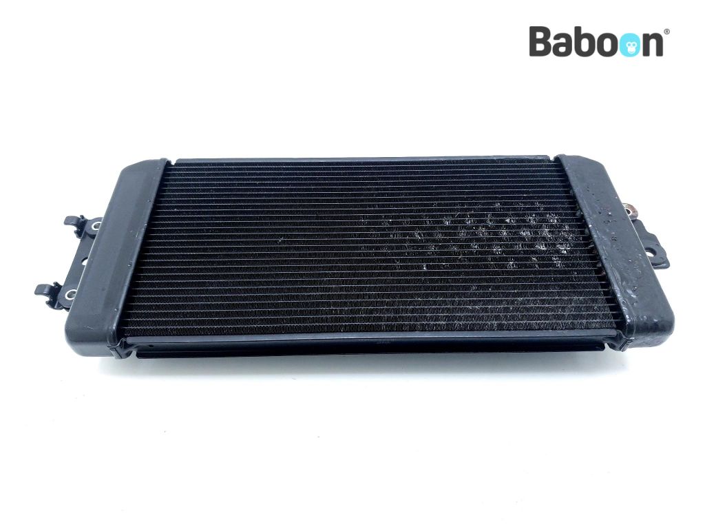 M50 Radiator Suzuki VZ 800 2005-2010 Boulevard M50 Intruder M800 Radiator | Baboon ...