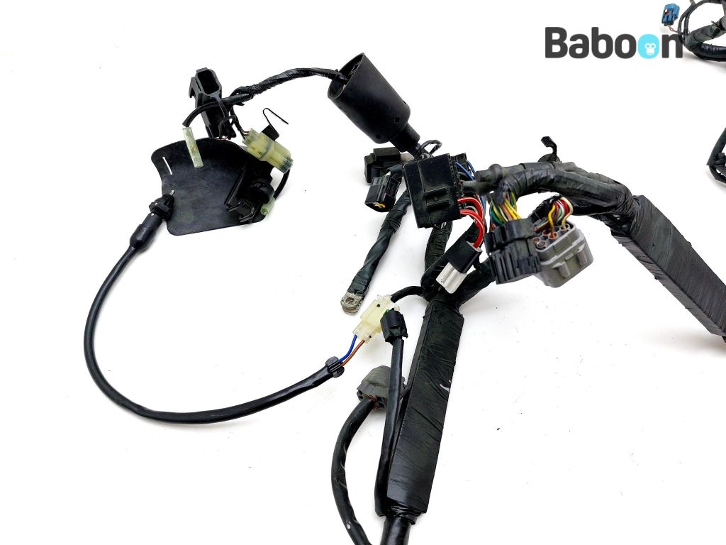 Kawasaki Z 250 SL +ABS 2015-2016 (BR250E-F) Wiring Harness (Main
