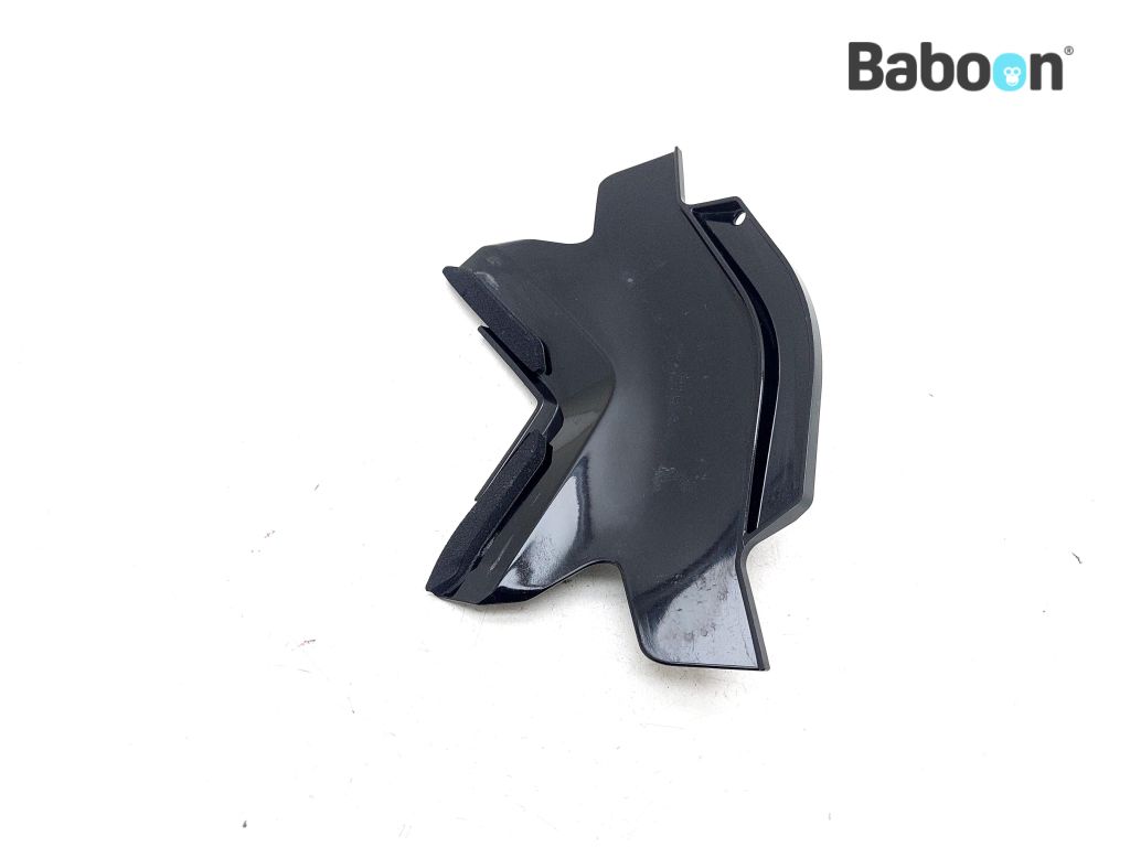 Kawasaki ZX 10 R 2021-2025 (NINJA ZX-10R ZX1002L) Tail Fairing