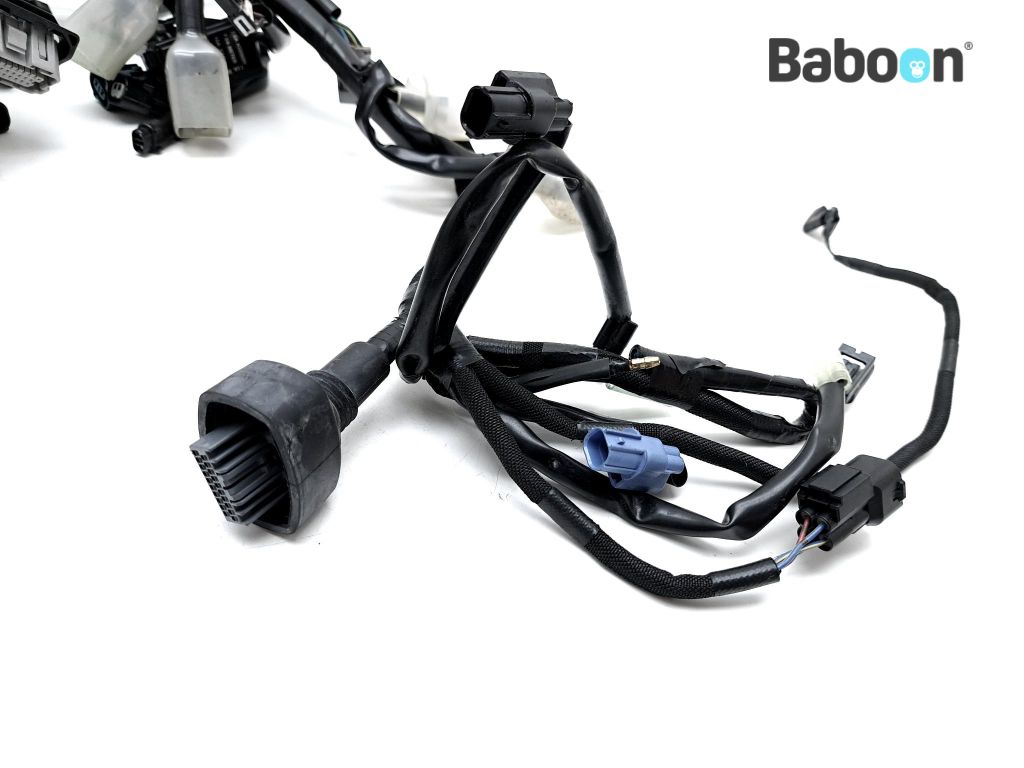 Kawasaki Z 900 2023- (ZR900FF ZR900PP) Wiring Harness (Main