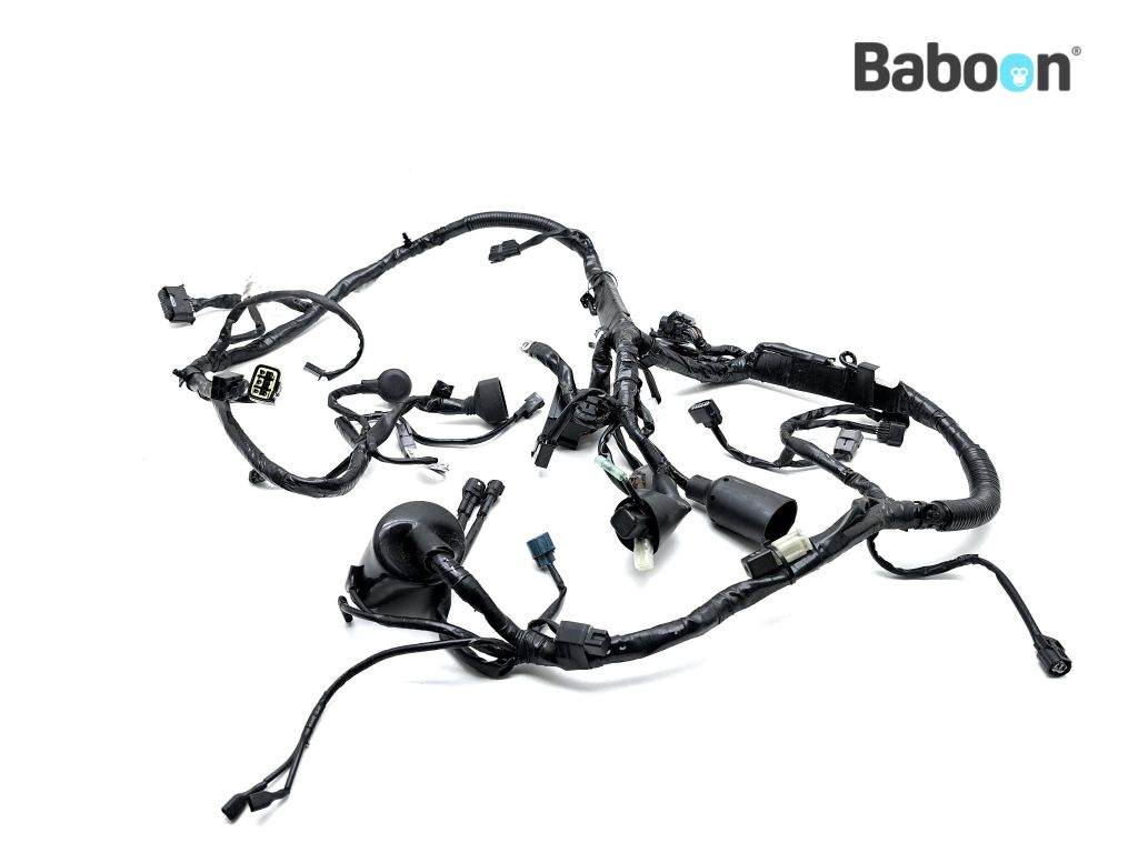 Kawasaki NINJA 125 2019 (BX125) Wiazka kablowa (26031-2636