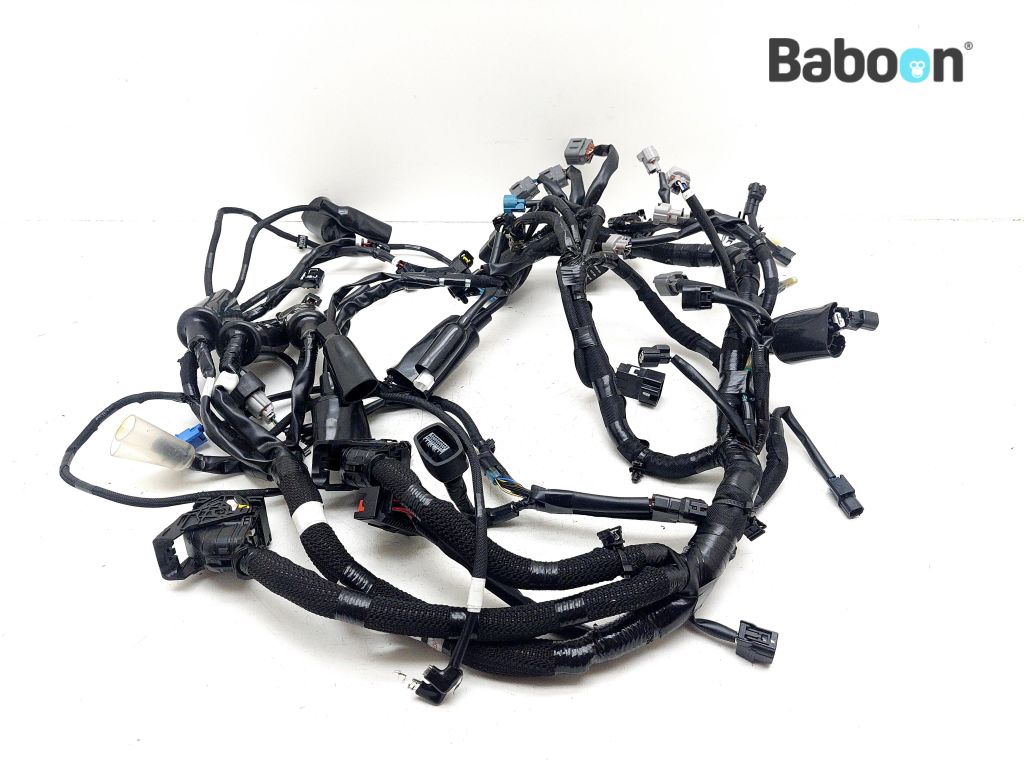Kawasaki ZX 4 RR 2023-2025 (ZX400P) Wiring Harness (Main) (26031