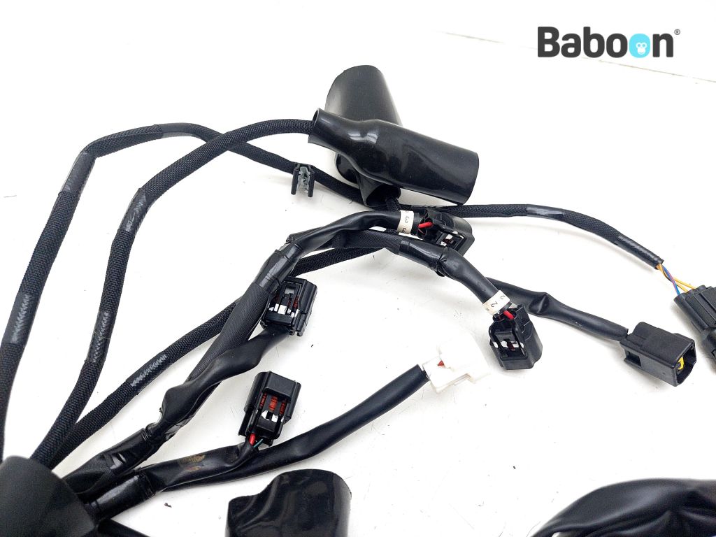 Kawasaki ZX 4 RR 2023-2025 (ZX400P) Wiring Harness (Main) (26031