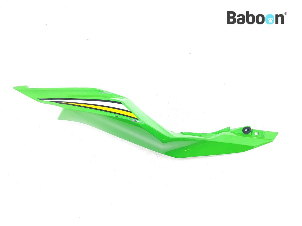 Kawasaki ZX 4 RR 2023-2025 (ZX400P) Kontpaneel Rechts (36041-0055
