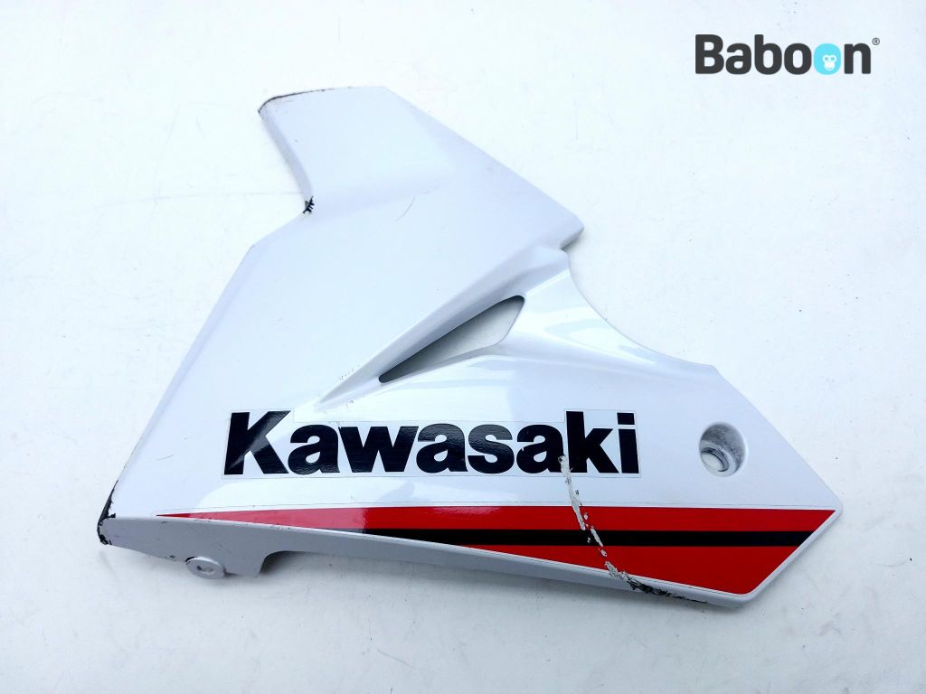 【2月】＊kina＊ Kawasaki Ninja 125 2021-2025 (BX125B) Lower Fairing Left (55028