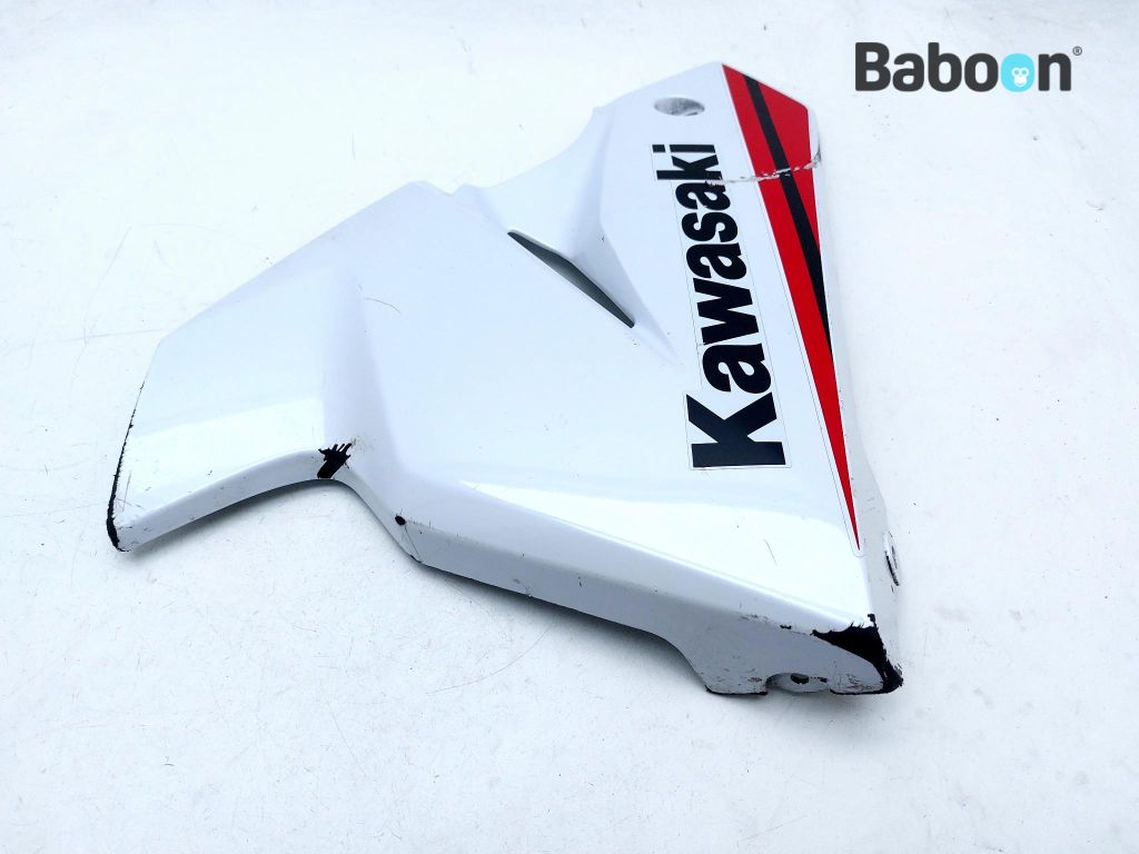 Kawasaki Ninja 125 2021-2025 (BX125B) Lower Fairing Left (55028