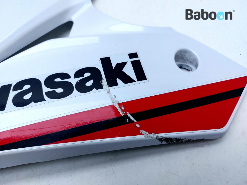 Kawasaki Ninja 125 2021-2025 (BX125B) Lower Fairing Left (55028