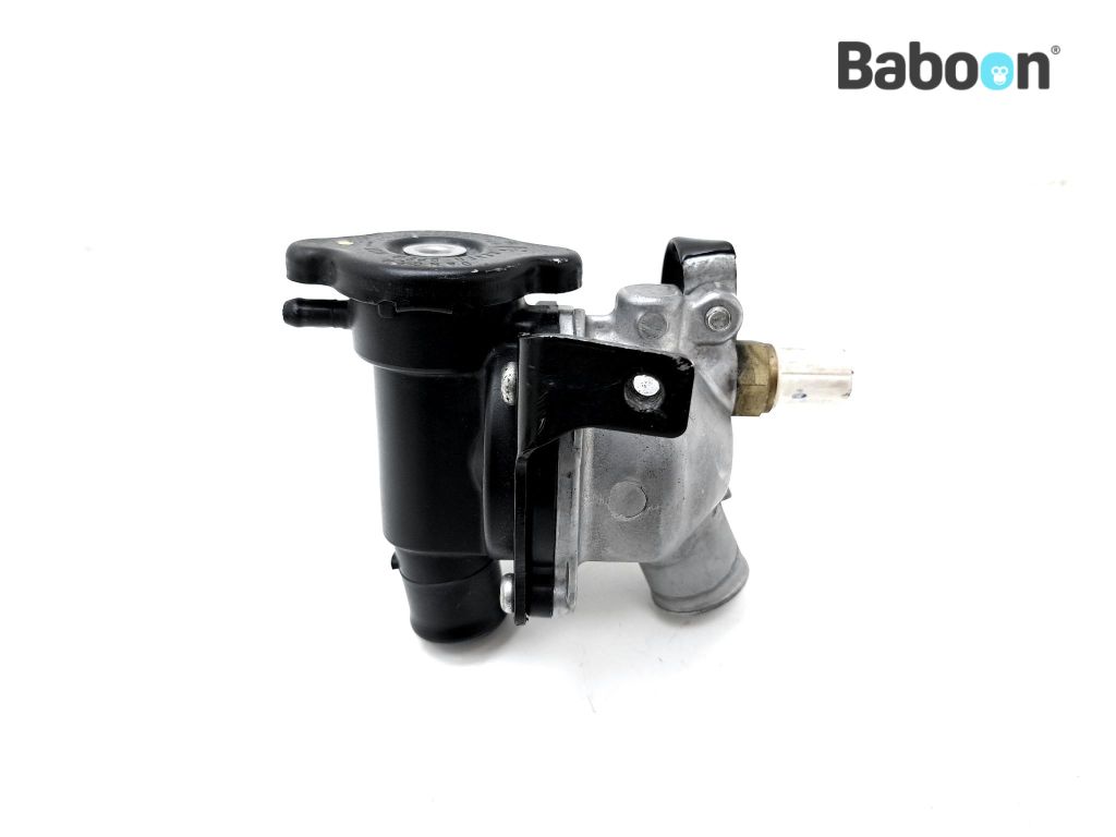 Kawasaki Z 800 2013-2016 (Z800 ZR800A-B) Thermostat | Baboon