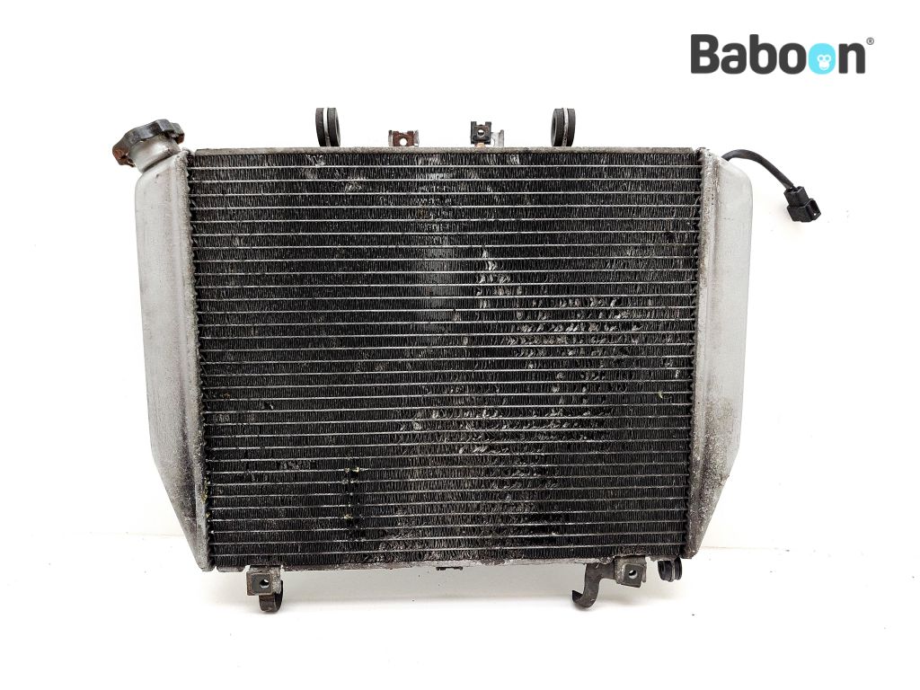 Kawasaki ZX 12 R Ninja 2000-2001 (NINJA ZX-12R ZX1200A) Radiator