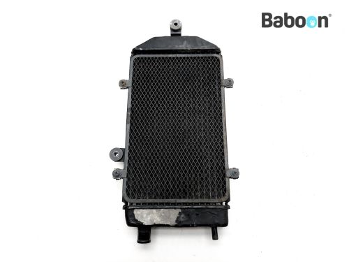 Customaccess TE0002J Bouchon Thermomètre D'Huile Chrome Pour Kawasaki VN 900 Classic & Custom